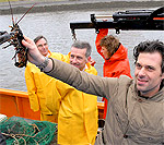 Sergio Oosterscheldekreeft